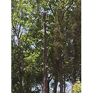 望月造林スタッフ一同