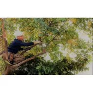 梶原（カジワラ）