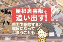 屋根裏にいる動物の簡単な見分け方と追い出し方｜屋根裏への入り方も解説