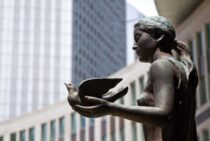 ハト退治にお悩みの方必見！対策グッズの種類と使い方を解説します