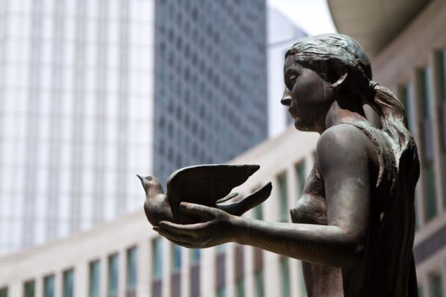 ハト退治にお悩みの方必見！対策グッズの種類と使い方を解説します