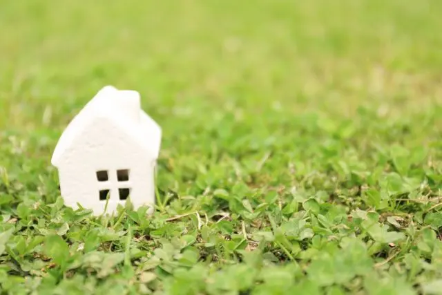 芝生を張るのはどの季節がいいの？それぞれの時期の注意点