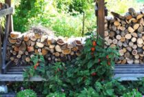 林業を支える伐採用機械！高性能林業機械の種類とは？