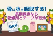 ペットの遺骨にカビが…今日からできる骨壺のカビ対策をご紹介します