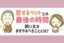 ペットが死んだらするべきことを徹底解説。遺体処理から火葬方法まで