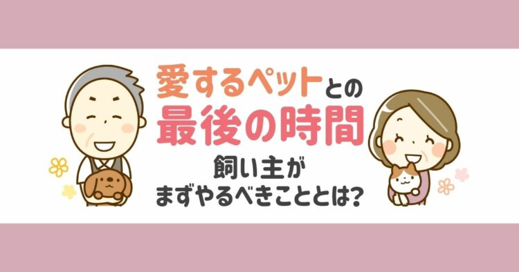ペットが死んだらするべきことを徹底解説。遺体処理から火葬方法まで