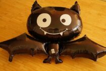 コウモリの嫌いな音は？苦手な音は？コウモリ撃退の秘訣