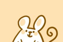 ラットとマウスの違いって？同じねずみなのに、実はこんな違いがあった！