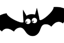 コウモリを捕まえるのはダメ？鳥獣保護法ともしものときの対処法