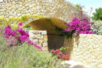 石とコンクリート使いが決め手！―和風の庭を洋風にするアイディア満載！