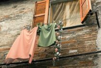 カナブンは駆除する必要なし！害虫コガネムシとの違いと駆除方法