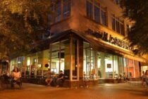 飲食店にもたらすねずみ被害は絶大！すぐにできる有効な駆除方法と再発防止策