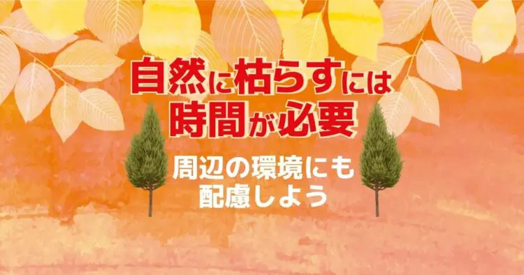 木を枯らす方法は2パターン！木の根っこを腐らせるやり方も解説