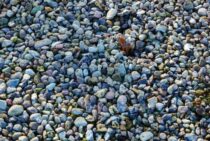 防犯砂利にはデメリットも？後悔しないためには準備と知識が大切です