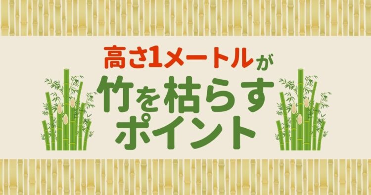 全滅させる竹の切り方とは？切る位置と時期を抑えて竹を駆除しよう