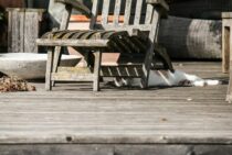 ウッドデッキをシロアリから守ろう！シロアリに強い素材とは？