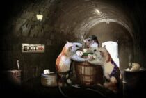 ネズミは昼間どこで何をしているの？昼間ネズミに出くわしたら要注意！