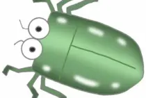 植物生育の天敵！コガネムシの幼虫。駆除するために必要なこと