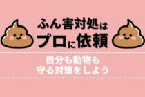 たぬきの『ためふん』は危険な習性！動物のふんの特徴や対策法を紹介