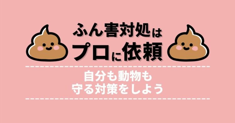 たぬきの『ためふん』は危険な習性！動物のふんの特徴や対策法を紹介