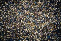 水槽の砂利はただの飾りではありません！底砂の種類と注意点とは？