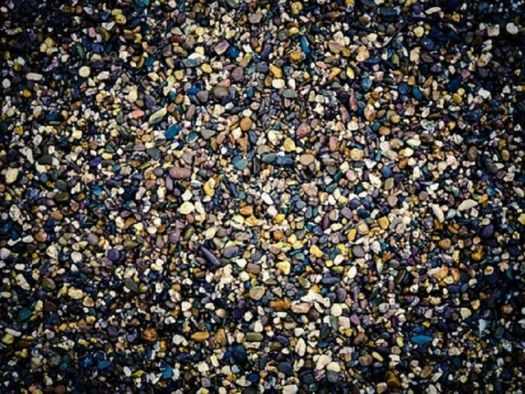 水槽の砂利はただの飾りではありません！底砂の種類と注意点とは？