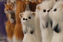 害獣を捕らえる罠は免許が必要？免許のとり方と気をつけたいこと