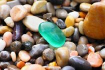 砂利敷きの前に！庭の整地をして砂利の機能性を高めましょう！