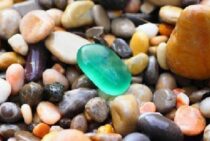 庭の水はけは砂利で改善！砂利を敷く手順とその魅力を紹介します。