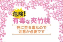 夾竹桃は強い毒を持つ！毒の致死性・危険性と生育のポイント