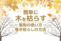 木を枯らすにはどうすればいい？なるべく簡単に枯らす方法とは