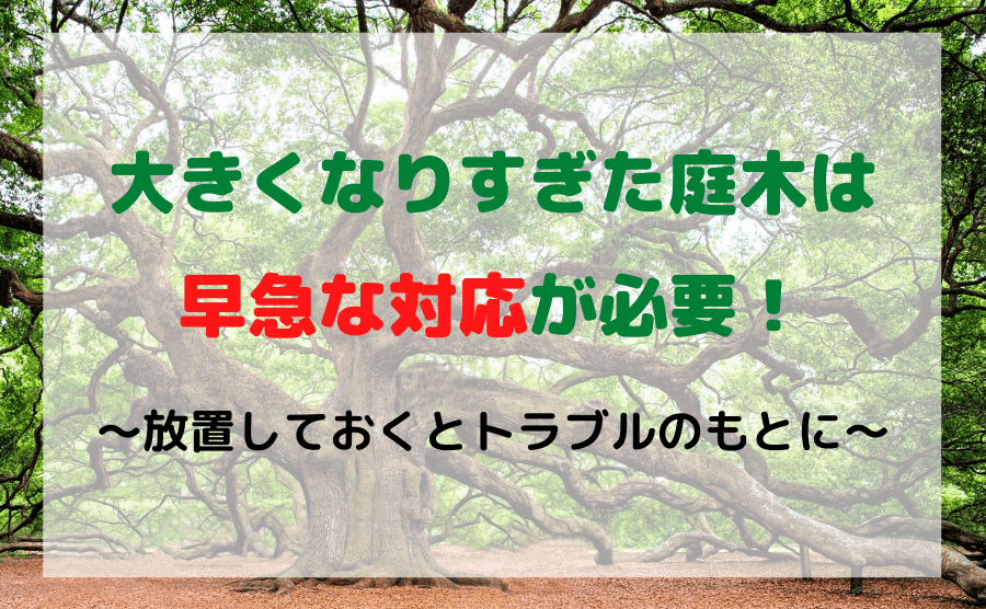 【危険】大きくなりすぎた庭木はトラブルのもとに！剪定・伐採時期や手入れ方法を紹介