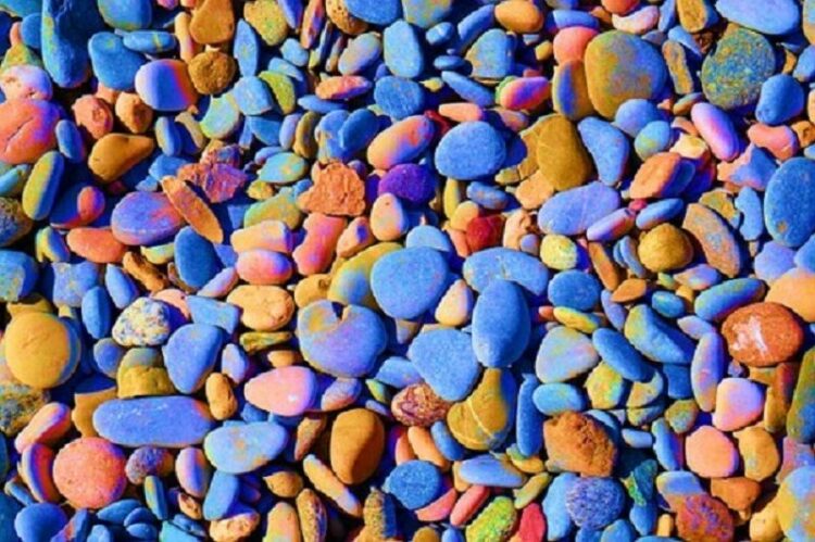 化粧砂利にはどんな種類が？実際に施工例をみてイメージを固めよう