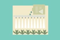 除草剤が周辺の樹木へ与える影響とは？正しい除草剤の使い方を紹介