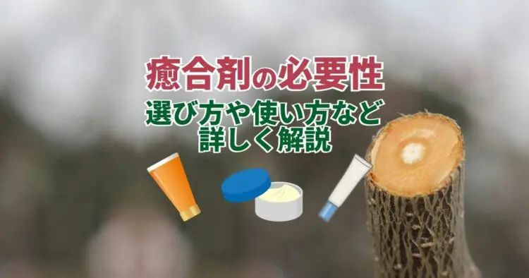 剪定後の切り口に『癒合剤』は必要？使い方と選び方について
