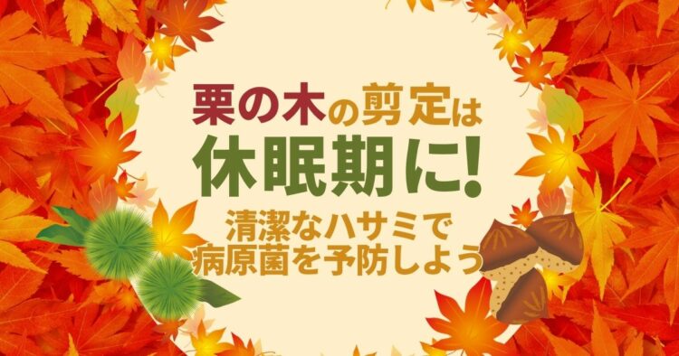 栗の木の剪定は時期が大切！剪定方法と栽培する際のポイントについて