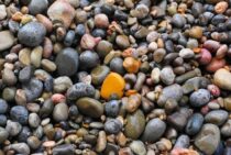 庭に合うのはどれ？お庭に敷く砂利の種類と価格相場について