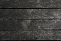 シロアリの音のサイン｜かじる音は聞こえない？要警戒はきしむ音や空洞音