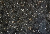 腐葉土の作り方を知って庭木やガーデニングに活用させてみよう！