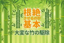 竹の駆除は根絶やしが基本｜竹を根絶させる方法と処分の仕方