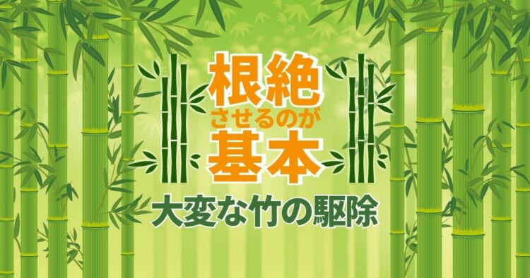 竹の駆除は根絶やしが基本｜竹を根絶させる方法と処分の仕方