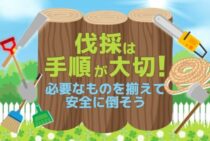庭木の伐採は自分すれば費用が安くなる！必要な道具や処分方法も解説