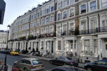 ハクビシンが都内に出没中！各区はどのような対策を行っている？