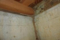 シロアリは冬眠しない！寒い冬でも対策すべき理由と死滅する温度