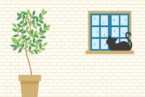 窓に！断熱ボードは立て掛けるだけ。隙間も結露も防ぐには？