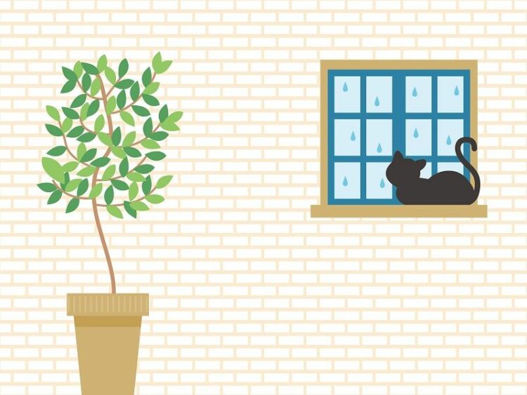 窓に！断熱ボードは立て掛けるだけ。隙間も結露も防ぐには？