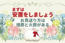 うさぎが死んだら何からすればよいの？ペット葬儀の種類と選び方