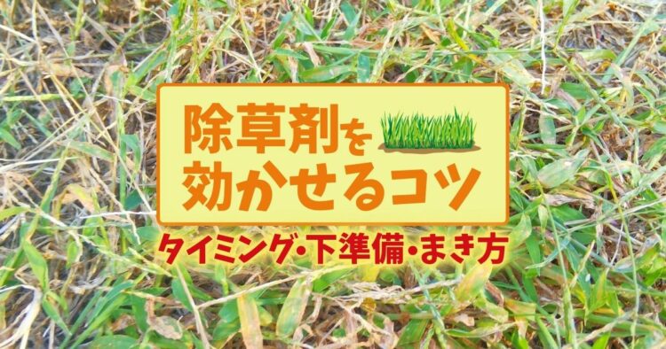 除草剤をまく時期はいつがいい？使用する際に注意すべきことは？