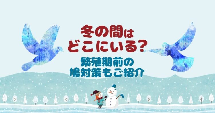 鳩は冬になるとどこへ行く？厳しい冬を乗り越える鳩の姿を追う