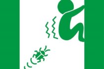 ゴキブリは人を噛む！？その理由と噛まれてしまったときに出る症状